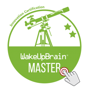 WUB-Master-Online-Logo